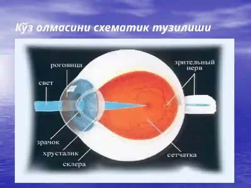 Кератитлар 2