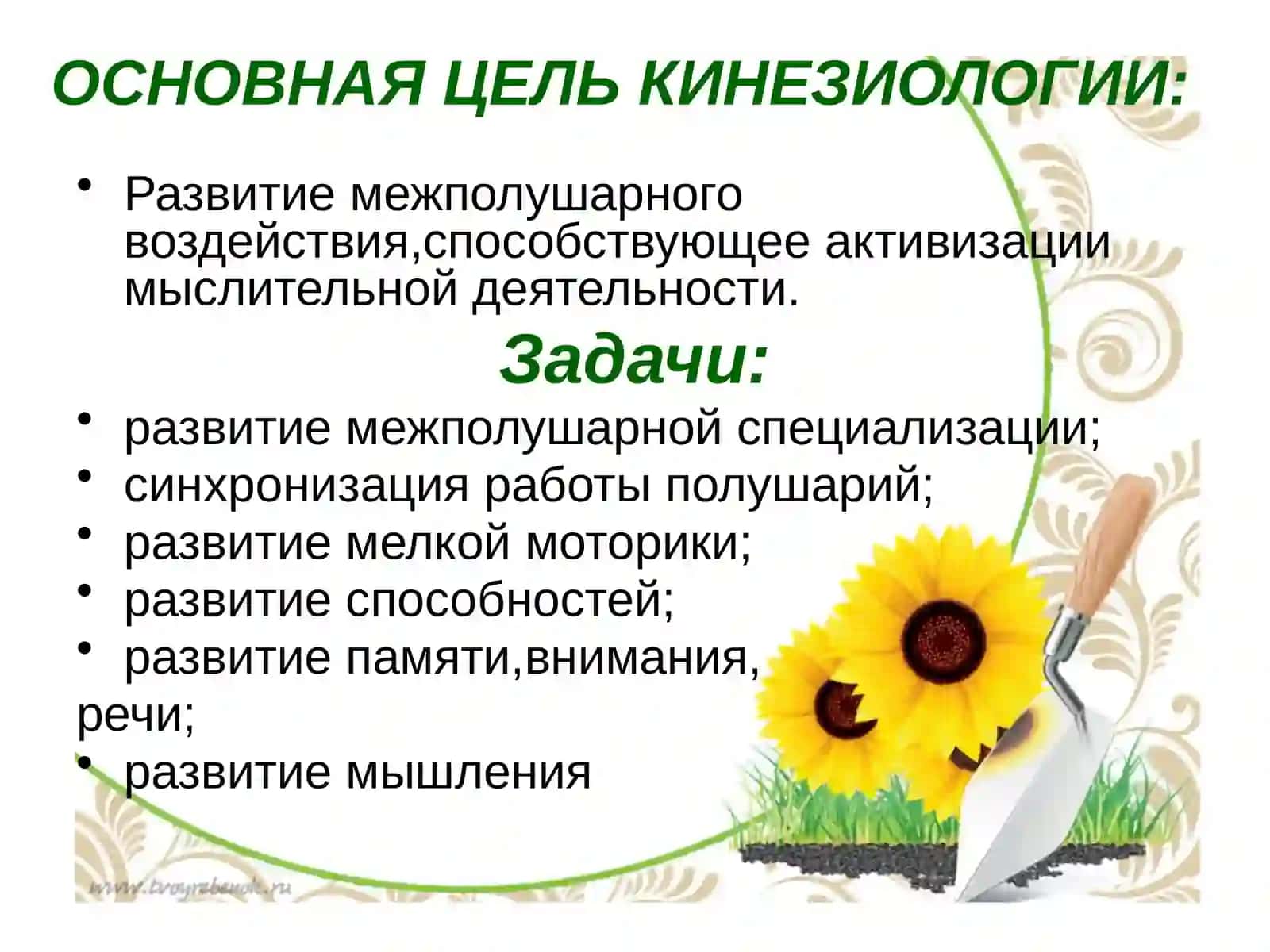 КИНЕЗИОЛОГИЯ 2