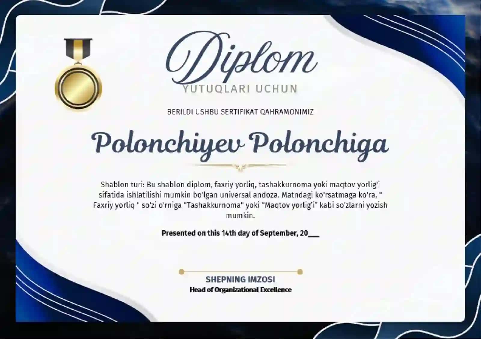 Diplom 2