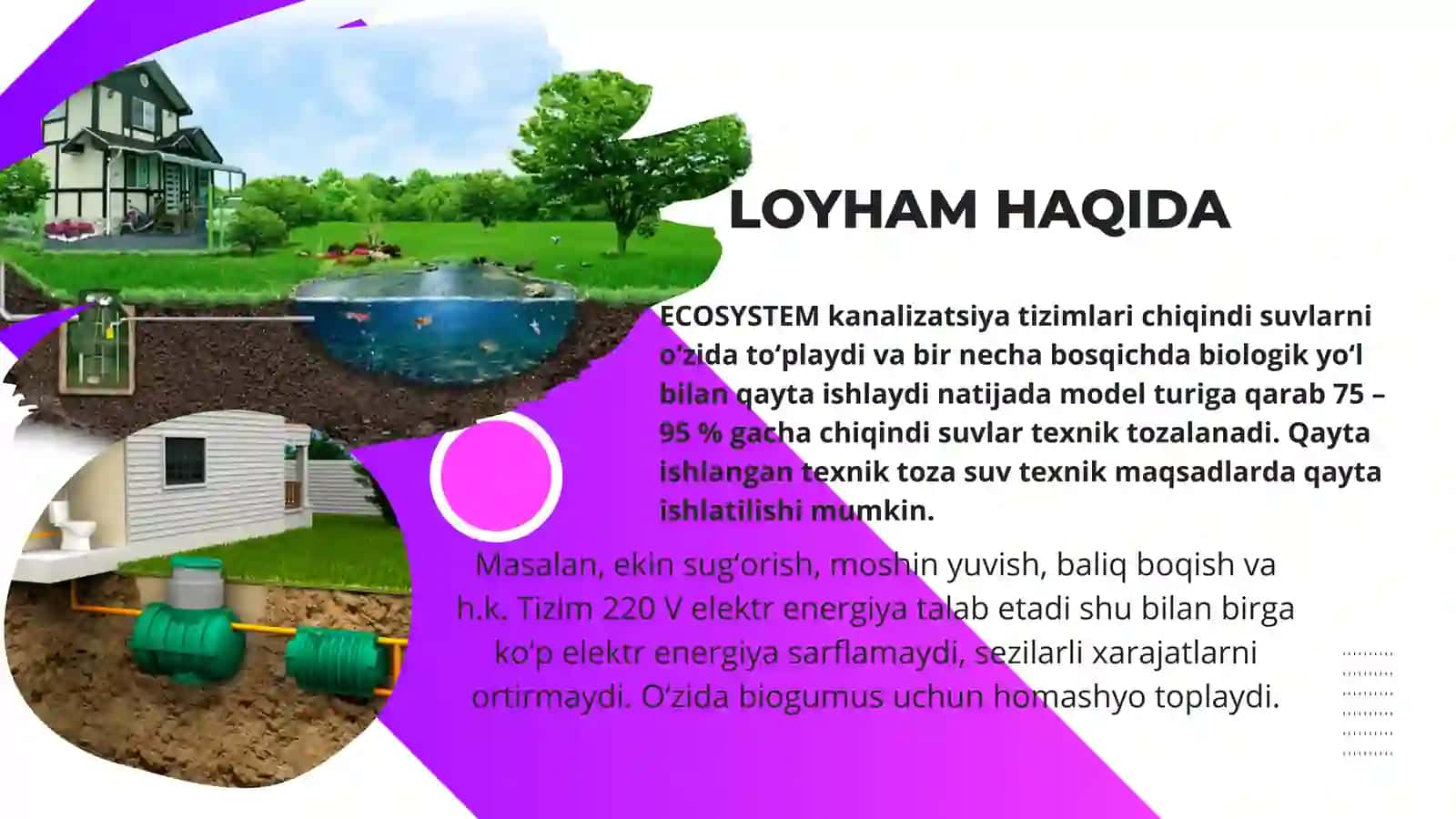 ECO-SYSTEM 2