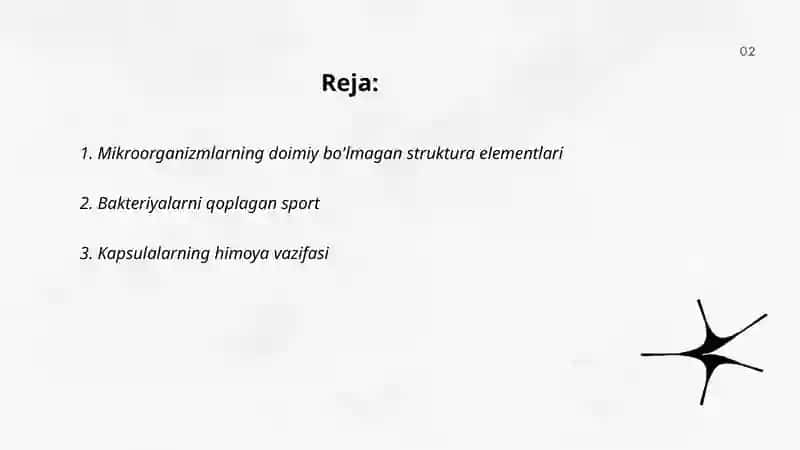 Mikroorganizmlarni doimiy bo'lmagan struktura elementlari: sport, kapsula, xivchinlar va boshqalar 2