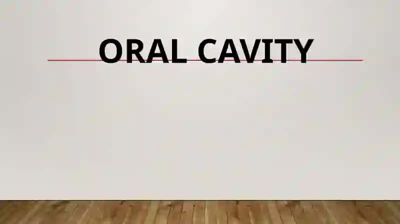 Oral cavity 2