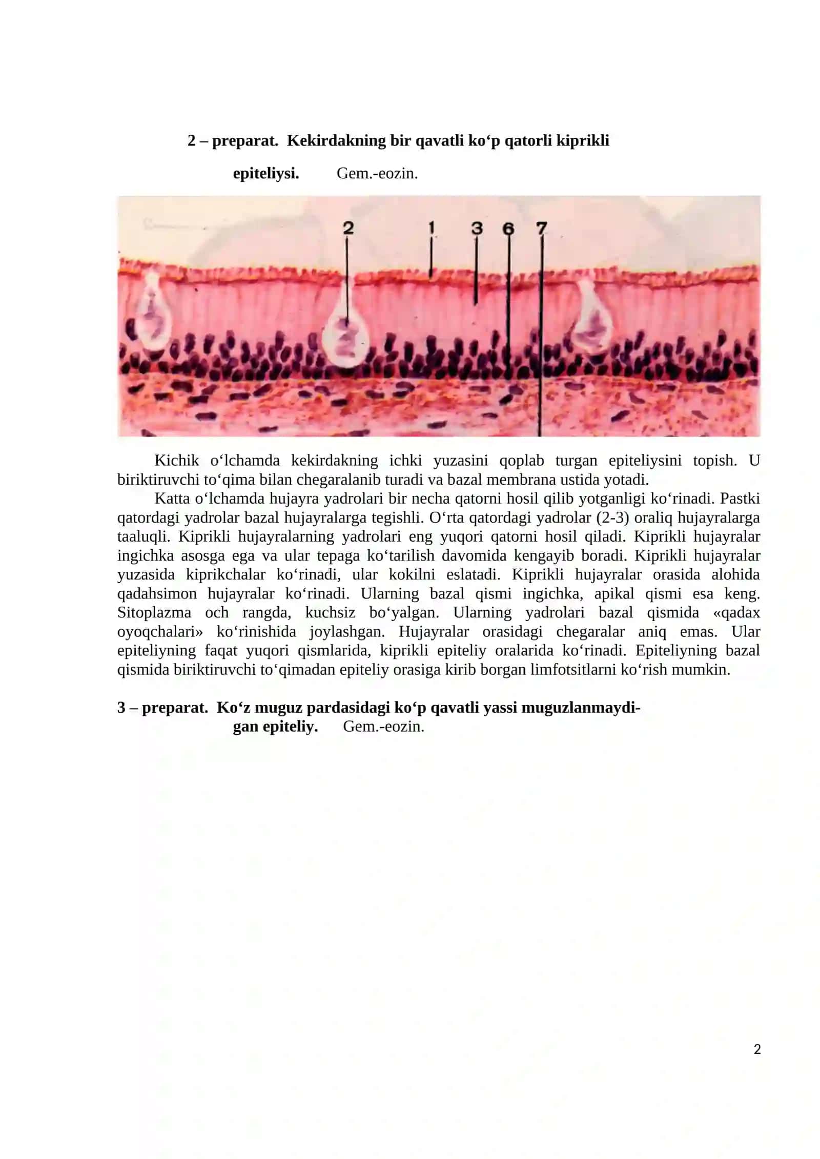 Preparatlarni o‘rganish 2