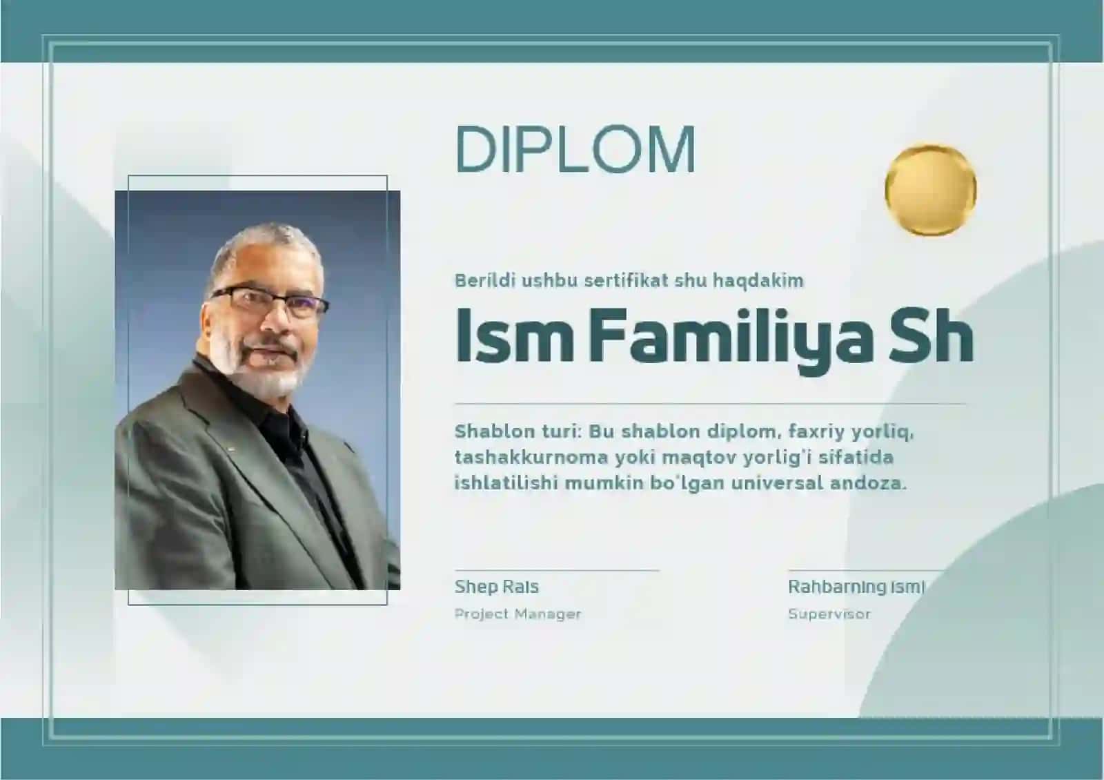 DIPLOM 2
