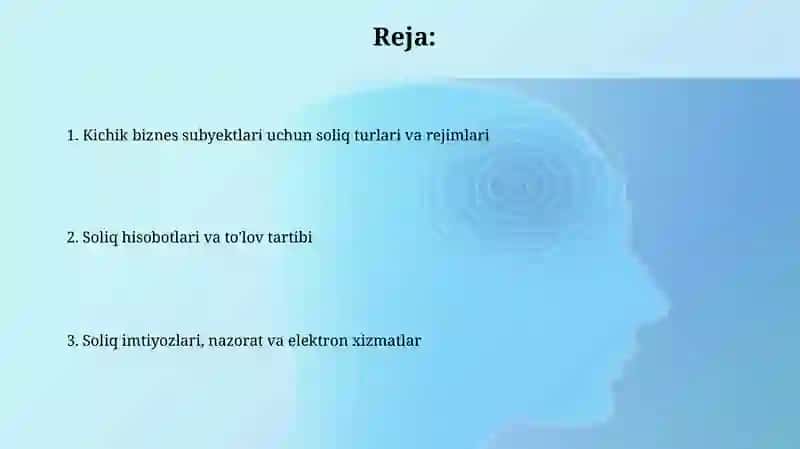 Kichik biznes subyektlari uchun soliqqa tortishning xususiyatlari 2