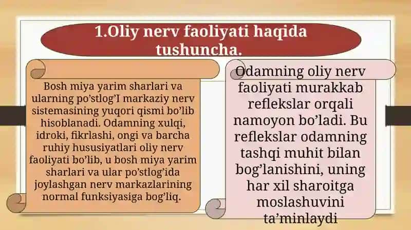 Oliynerv faoliyati 2