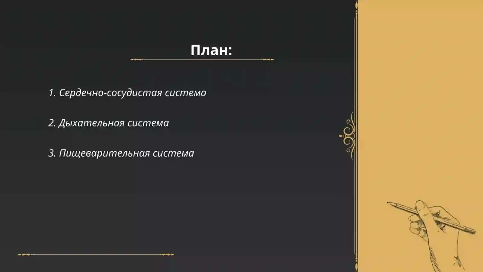 Сердечно-сосудистая система 2