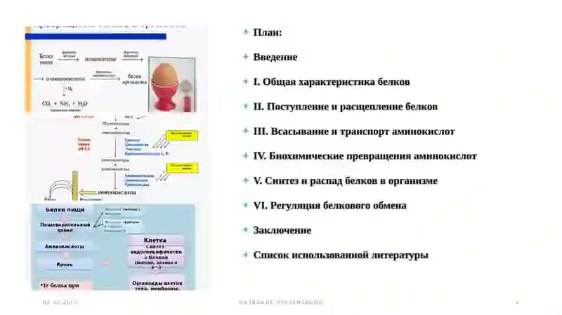 Биохимического превращения белков в организме человека 2