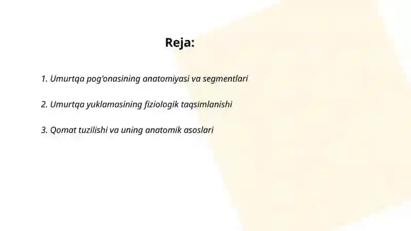 Umurtqa pogonasi umurtqa yuklamasi xolat va qomat tuzulishi 2