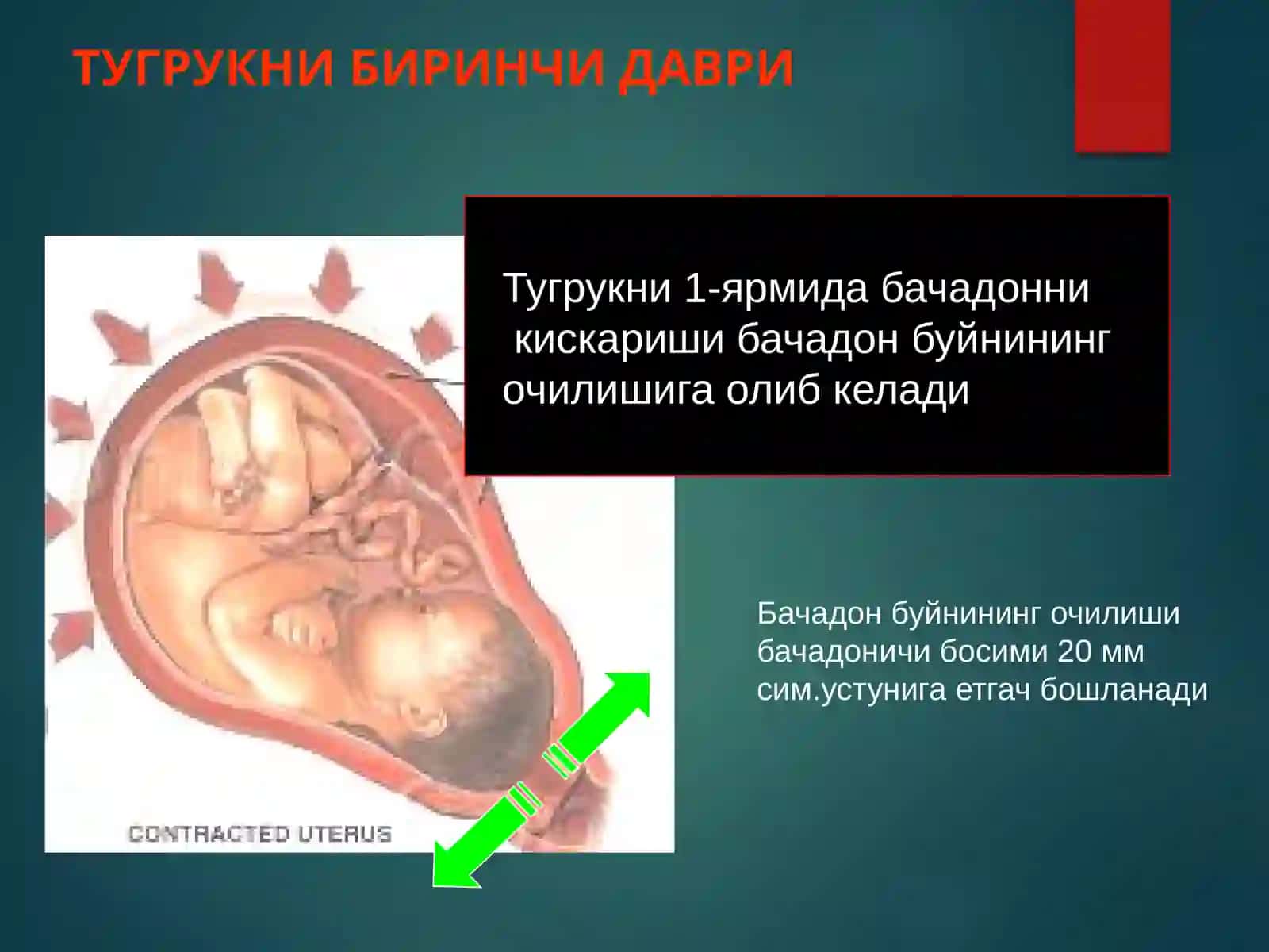 Коникарсиз тугрук фаолияти 2