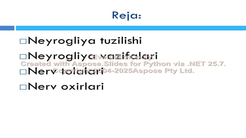 Neyrogliya 2