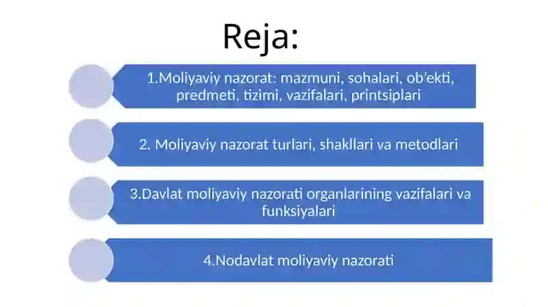 Moliyaviy nazorat 2