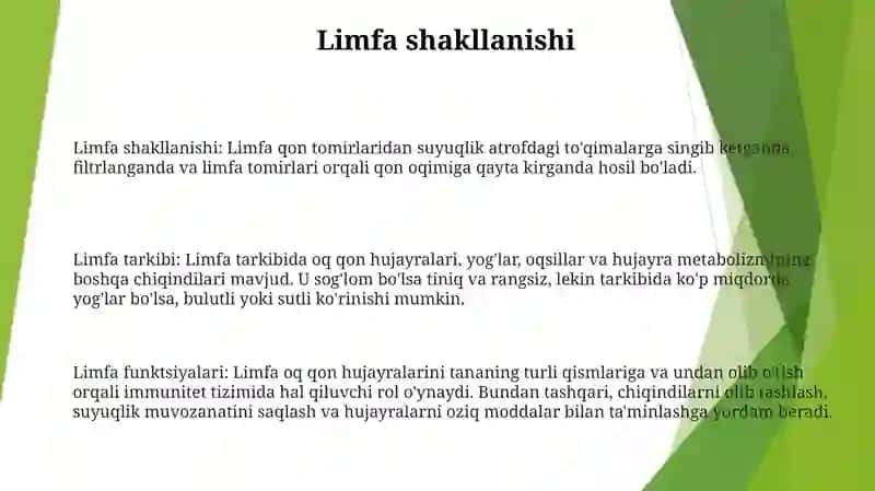 Limfaning Hosil BoʻLishi, Tarkibi Va Vazifalari 2