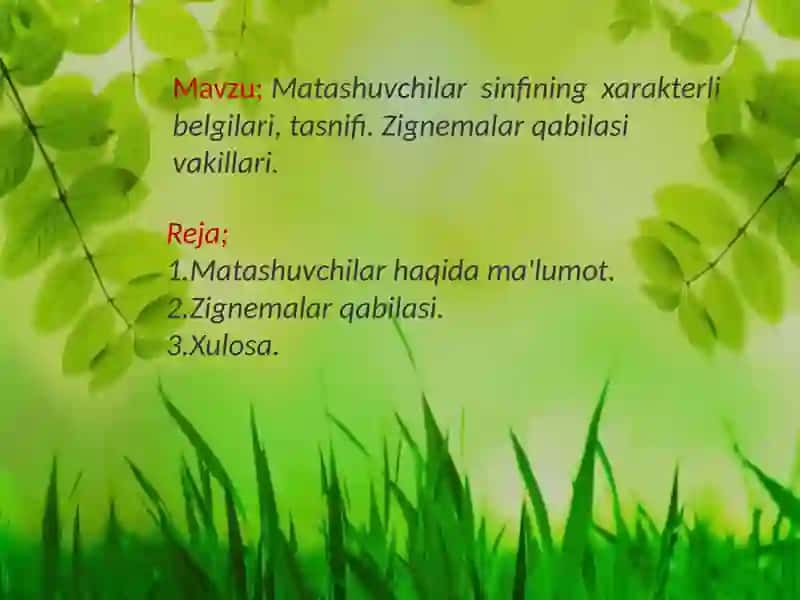 Botanika darsi tahlili 2