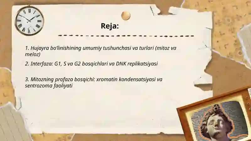 Hujayra boʻlinishining bosqichlari va ahamiyati 2