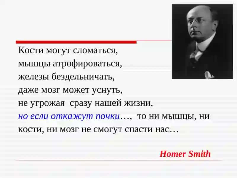 Гломерулонефритлар 2