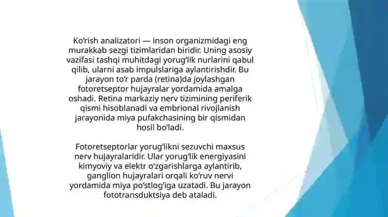 Fotoretseptor hujayralarning ultrastrukturasi va gistafiziologiyasi. Fotoreseptsiyaning sitologik va molekulyar mexanizmlari. Gematooftalmik to‘siqning tarkibi, funksiyalari va buzilishlari 2