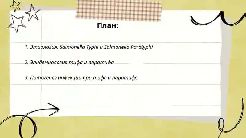 Тиф паратиф 2