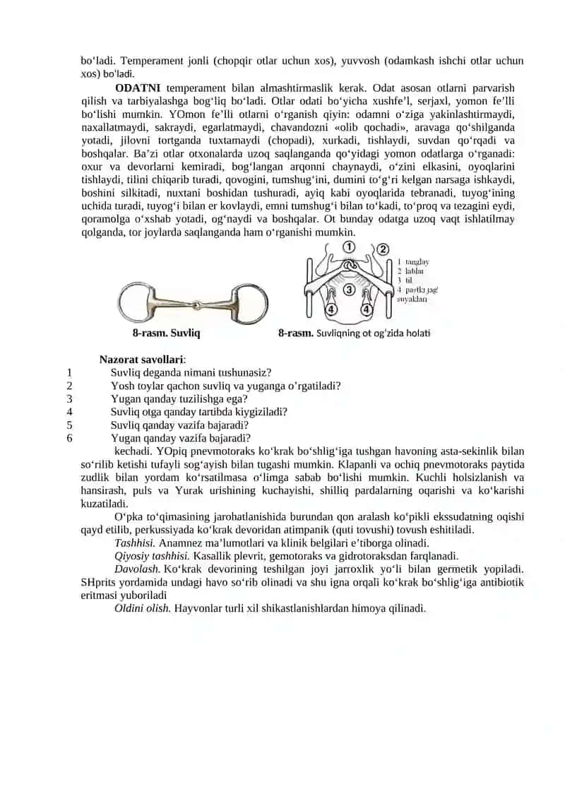 Otni suvliqqa va yuganga o‘rgatish 2