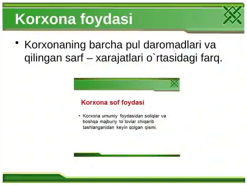 Korxona foydasi 2