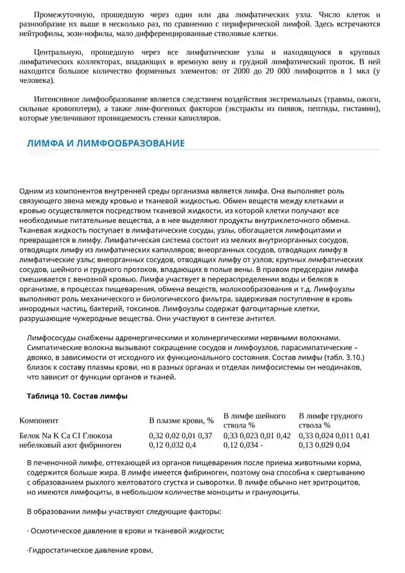 лимфа и лимфообразование 2