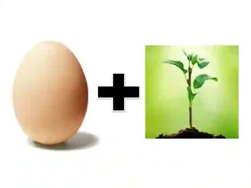 Find the compounds 2