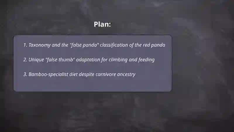 Red panda taxonomy and classification 2