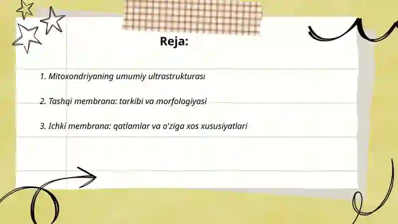 Mitoxondriyalarning tuzilishi 2