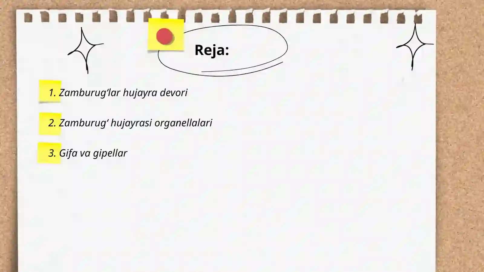 Zamburug'lar hujayra devori 2