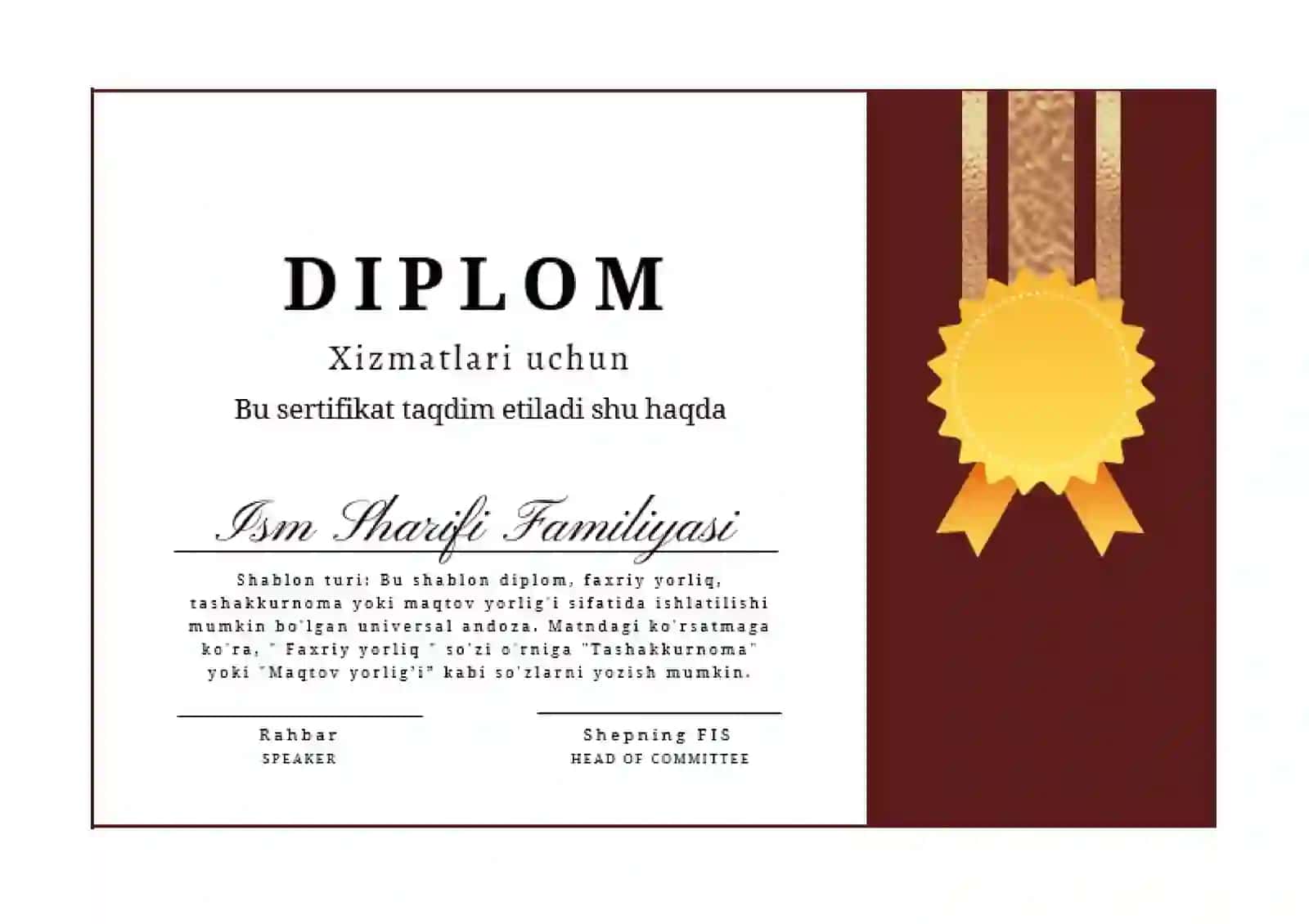 DIPLOM 2