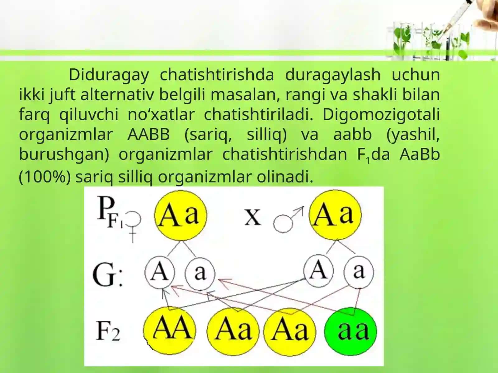 DIDURAGAYVA POLIDURAGAY CHATISHTIRISH.G.MENDELNING UCHINCHI QONUNI 2