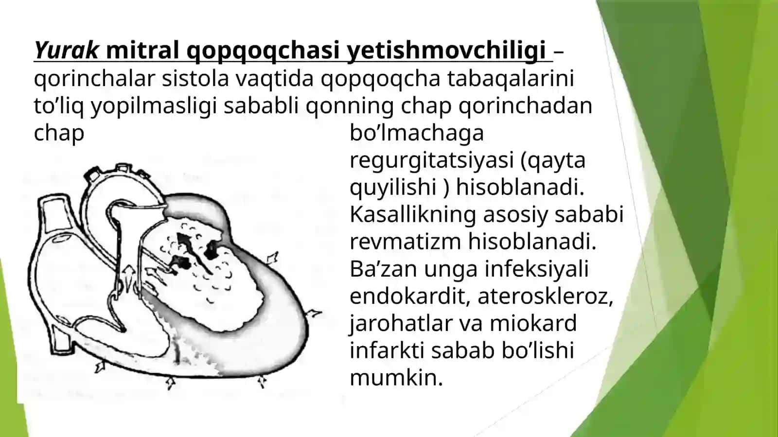 Mirtal qopqoqcha yetishmovchiligi 2