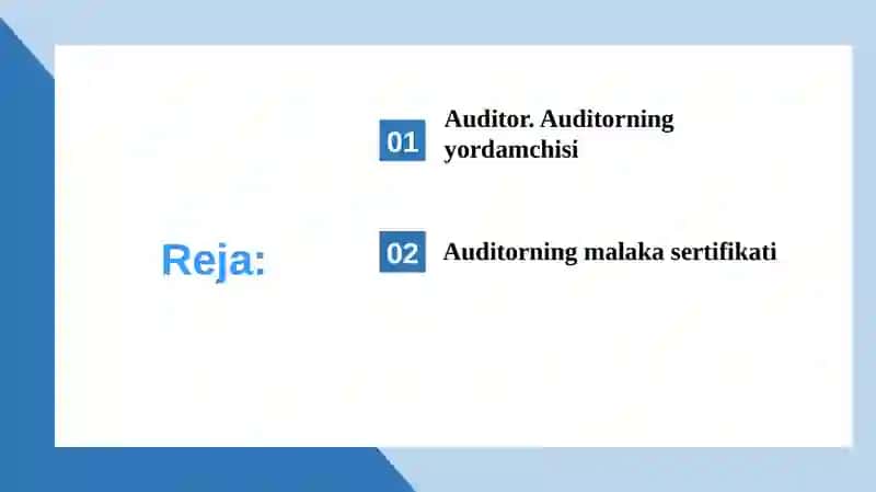 Auditorvauningyordamchisi, auditorning malakasertifikati 2