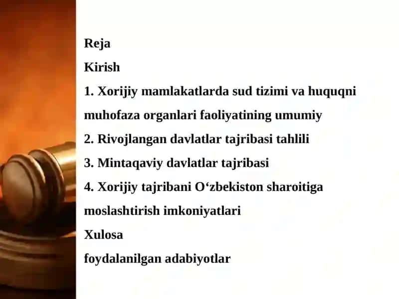 SUD VA HUQUQNI MUHOFAZA QILUVCHI ORGANLAR BO‘YICHA XORIJIY MAMLAKATLAR TAJRIBASI TAHLILI 2