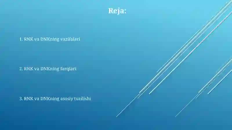RNK va DNK lar tuzulishi 2