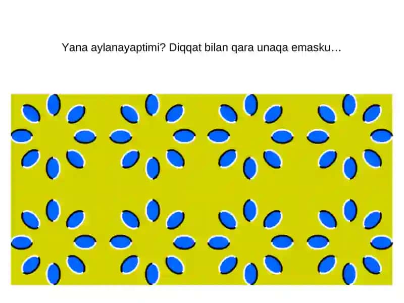 ong nimaga qodir 2