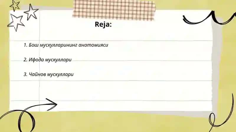 Бош мускуллари 2