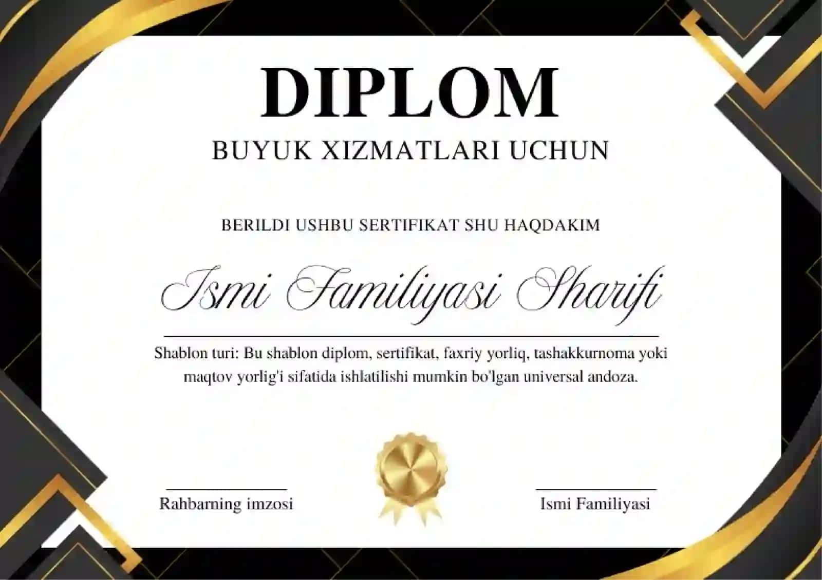 DIPLOM 2