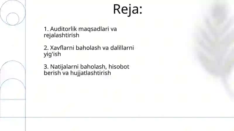 Moliyaviy natijalar to'g'risidagi hisobot auditini o'tkazish tartibi 2