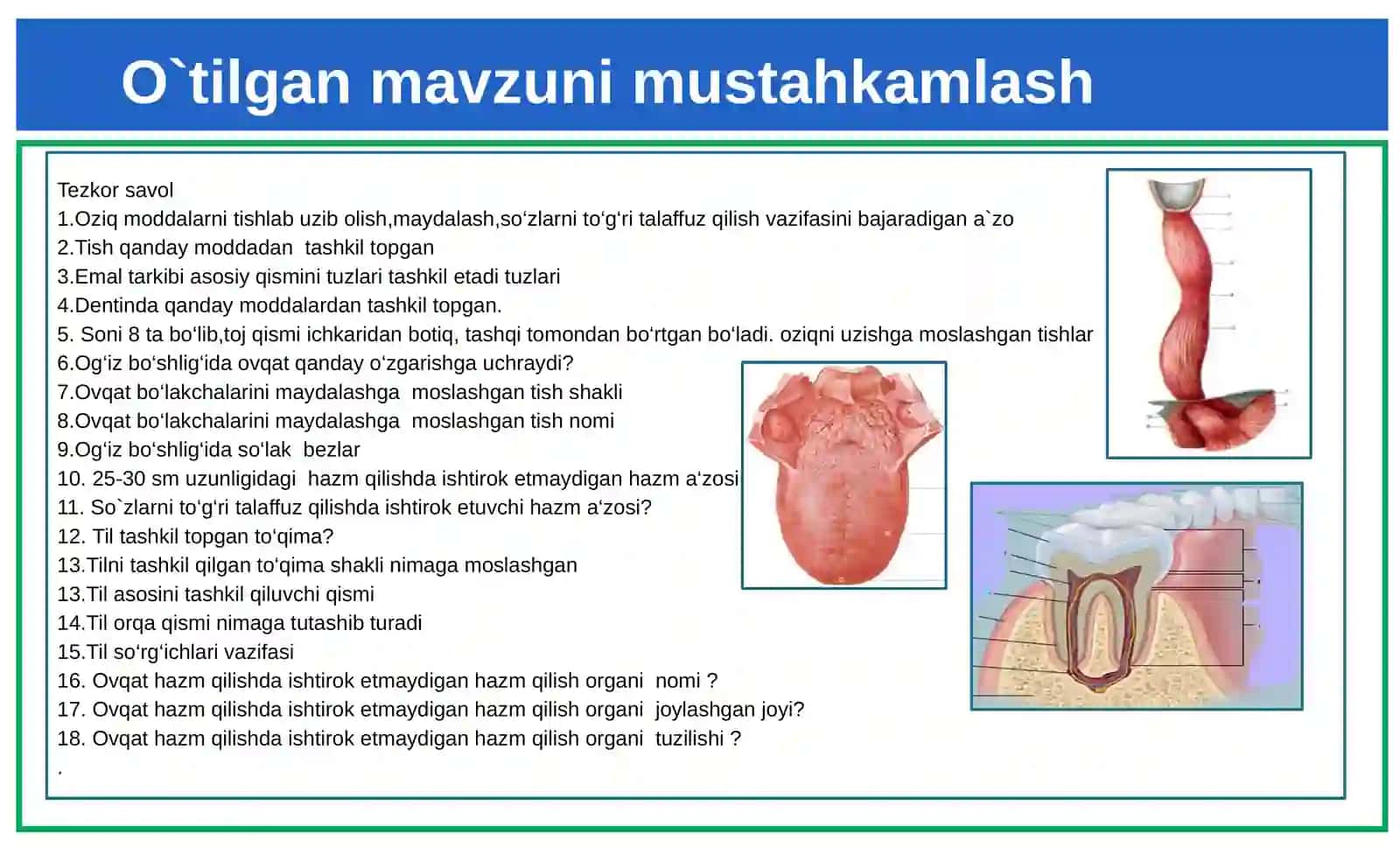 Biologiya 8-sinf Mavzu:Ovqathazmqilishorganlari vafunksiyasi 2