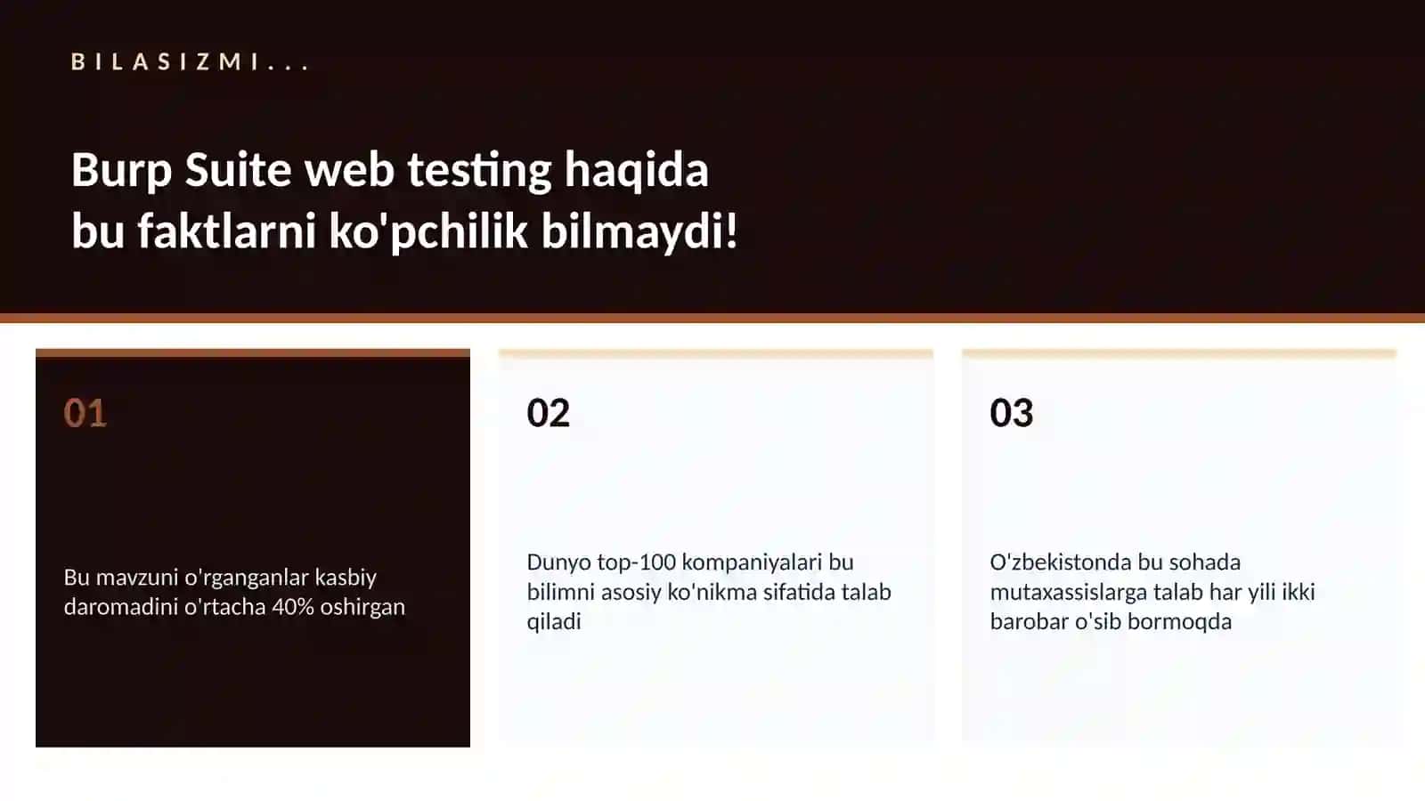Burp Suite web testing 2
