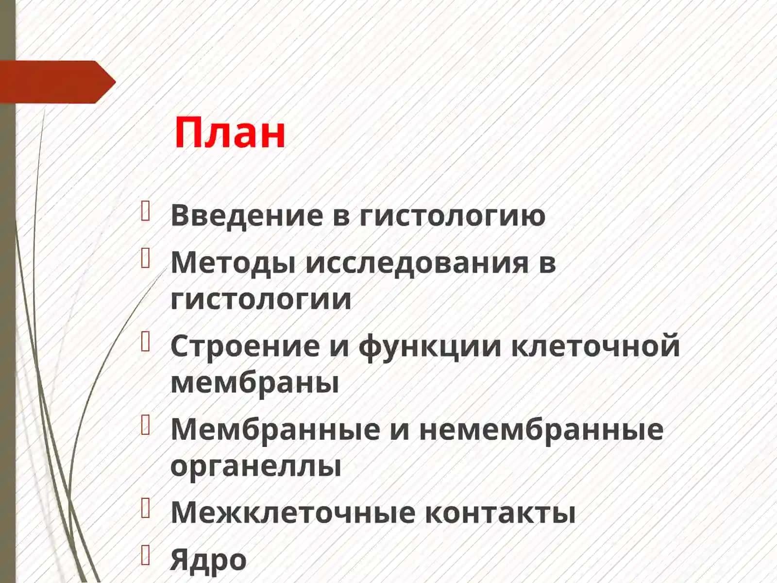 ЦИТОЛОГИЯ 2