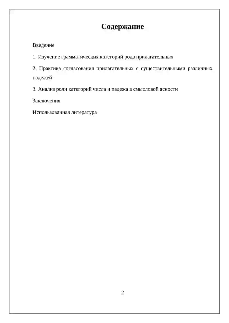 Имя прилагательное 2