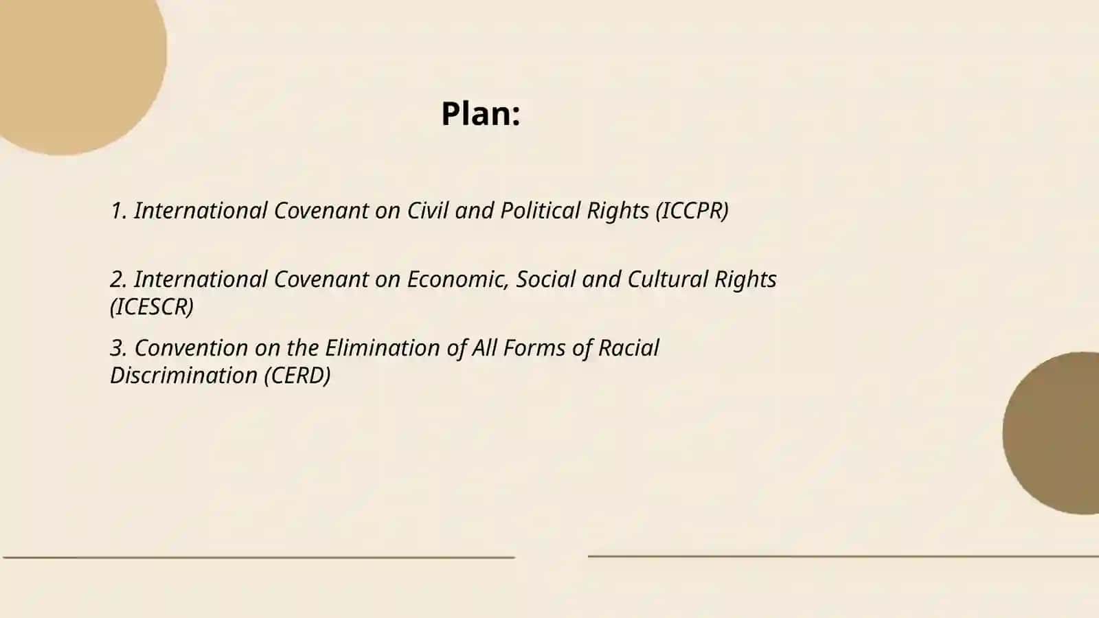 International human rights treaties and conventions 2