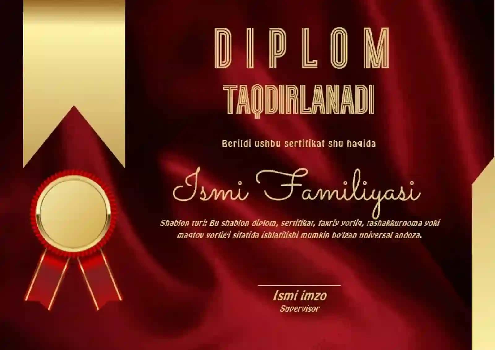 DIPLOM 2
