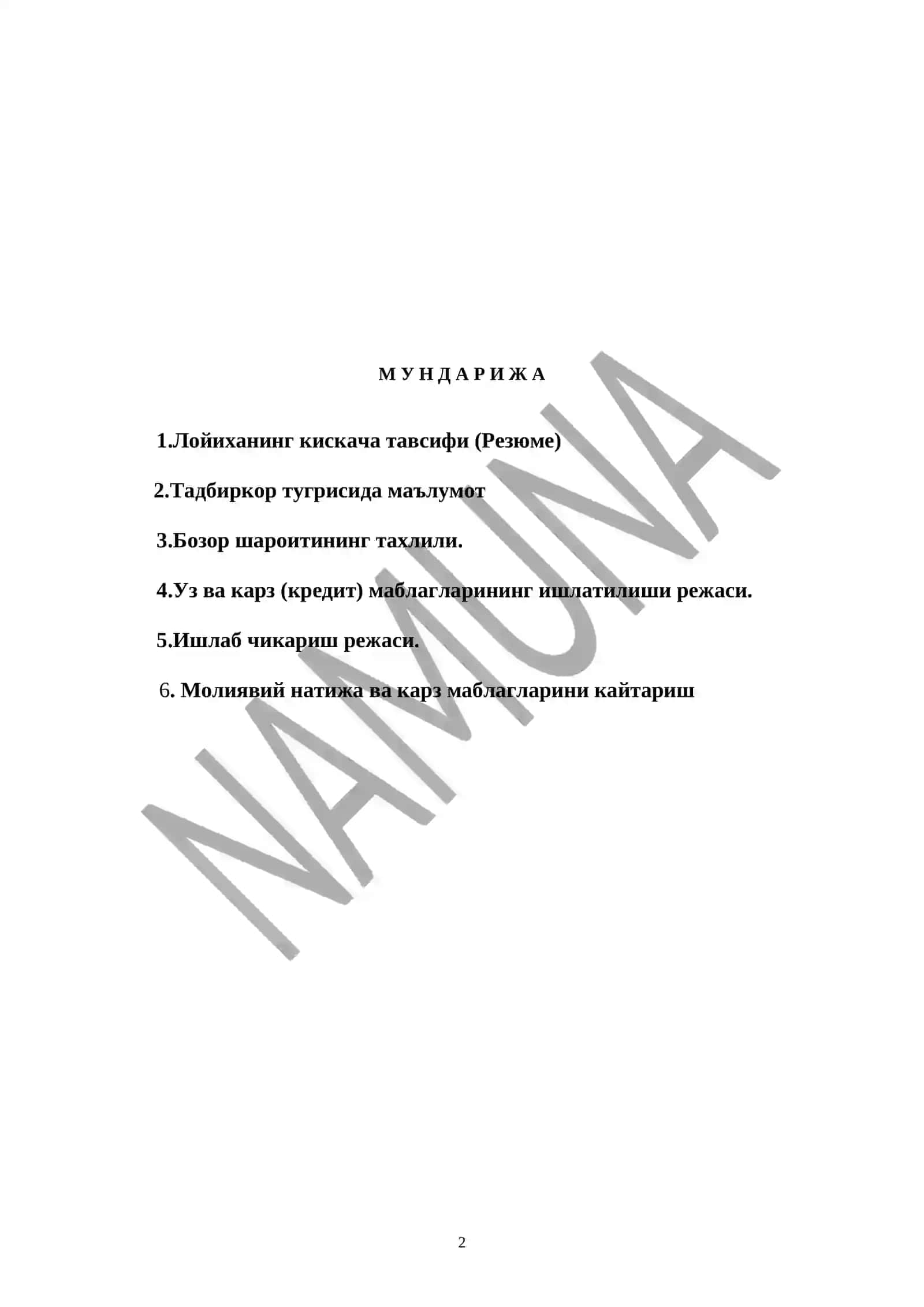 Бизнес режаси Шўр бодиринг тайёрлаш 2