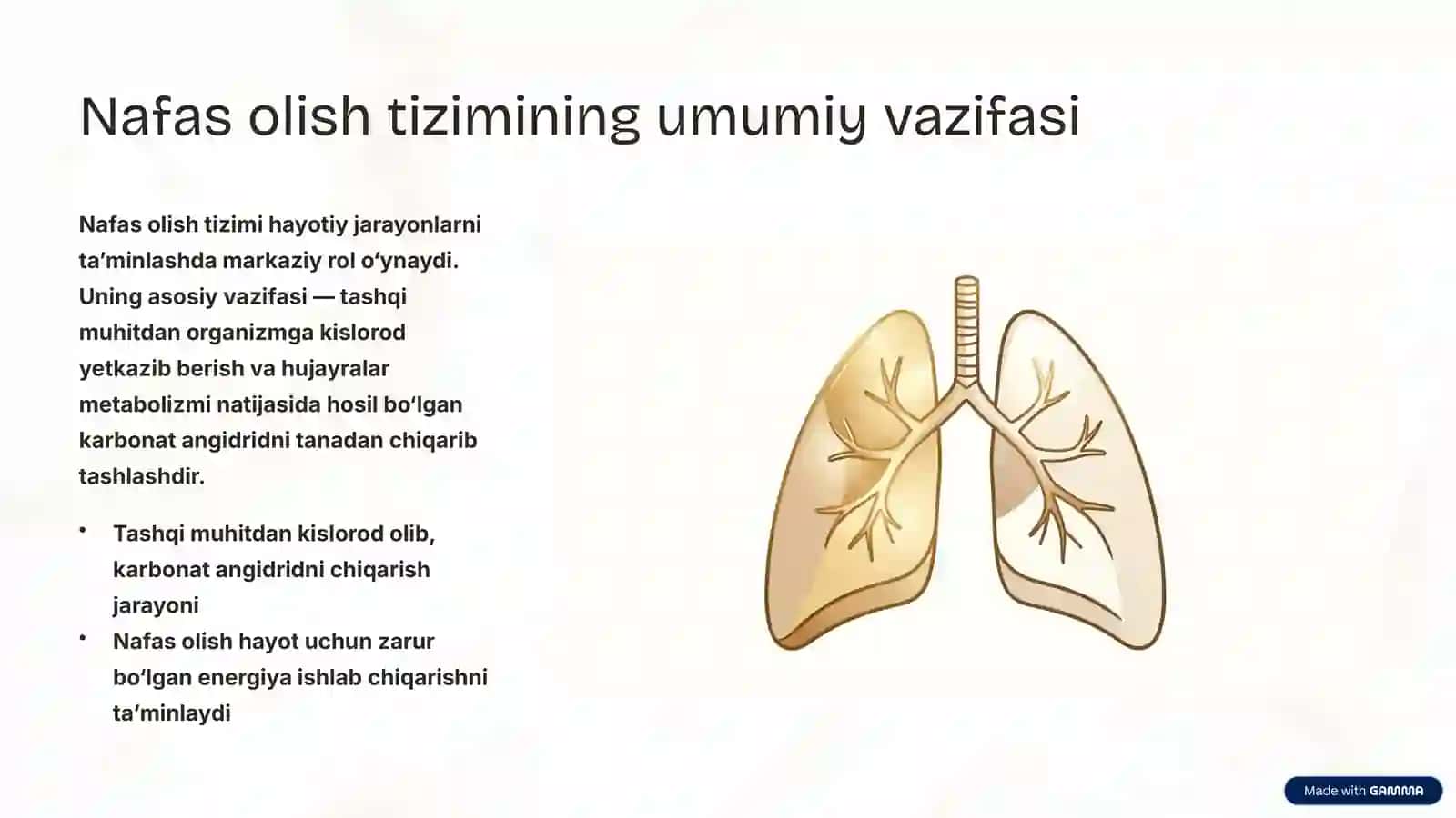 Nafas Yo‘llariga Kiruvchi A’zolarning Tuzilishi va Joylashishi 2