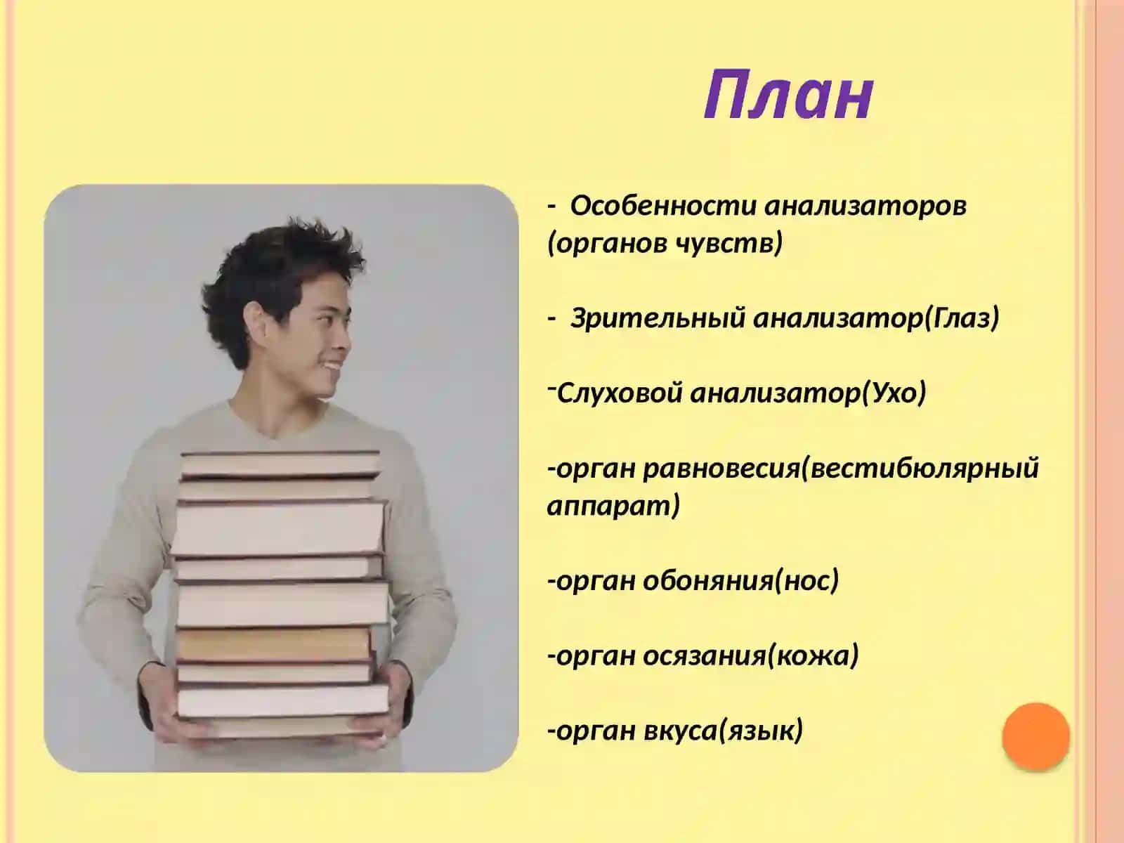 Возрастные особенности и гигиена анализаторов 2