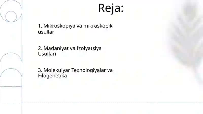 Metaboloma 2