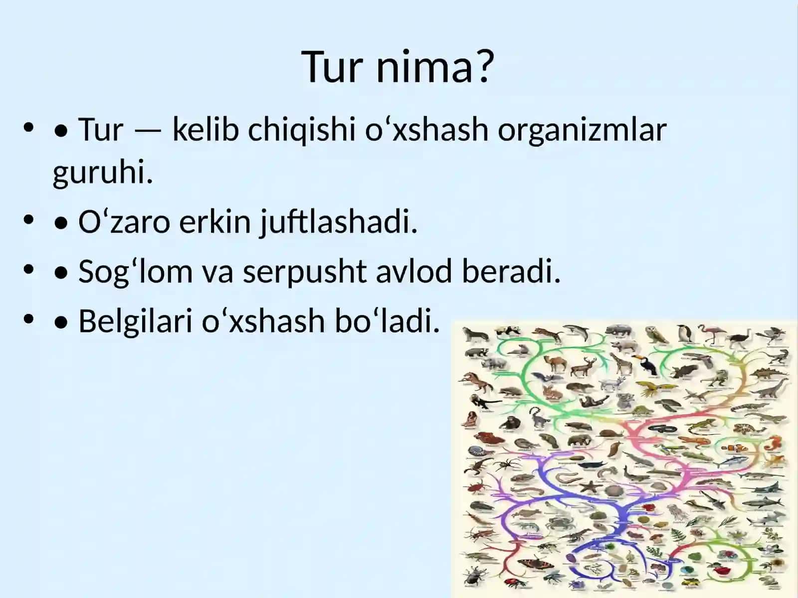 Turtushun chasi variojlanishi tarixi 2